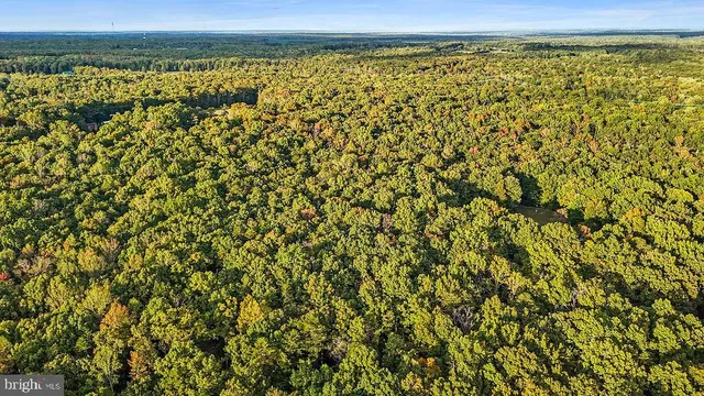a view of a green field