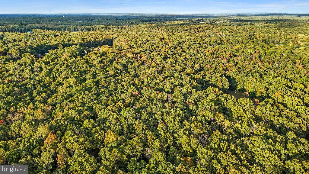 0 Old Plank Road Locust Grove, VA 22508 - Photo 8 of 31 a view of a green field