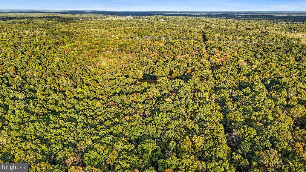 0 Old Plank Road Locust Grove, VA 22508 - Photo 10 of 31 a view of a room with a window