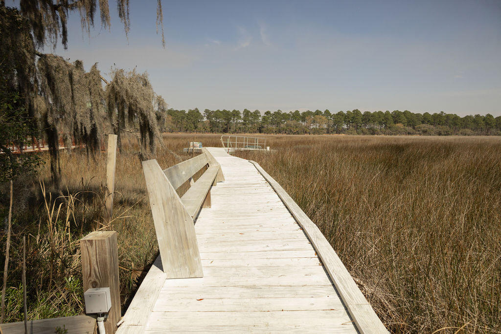 15419 Bennetts Point Road Green Pond, SC 29446 - Photo 48 of 52 3T6A1567