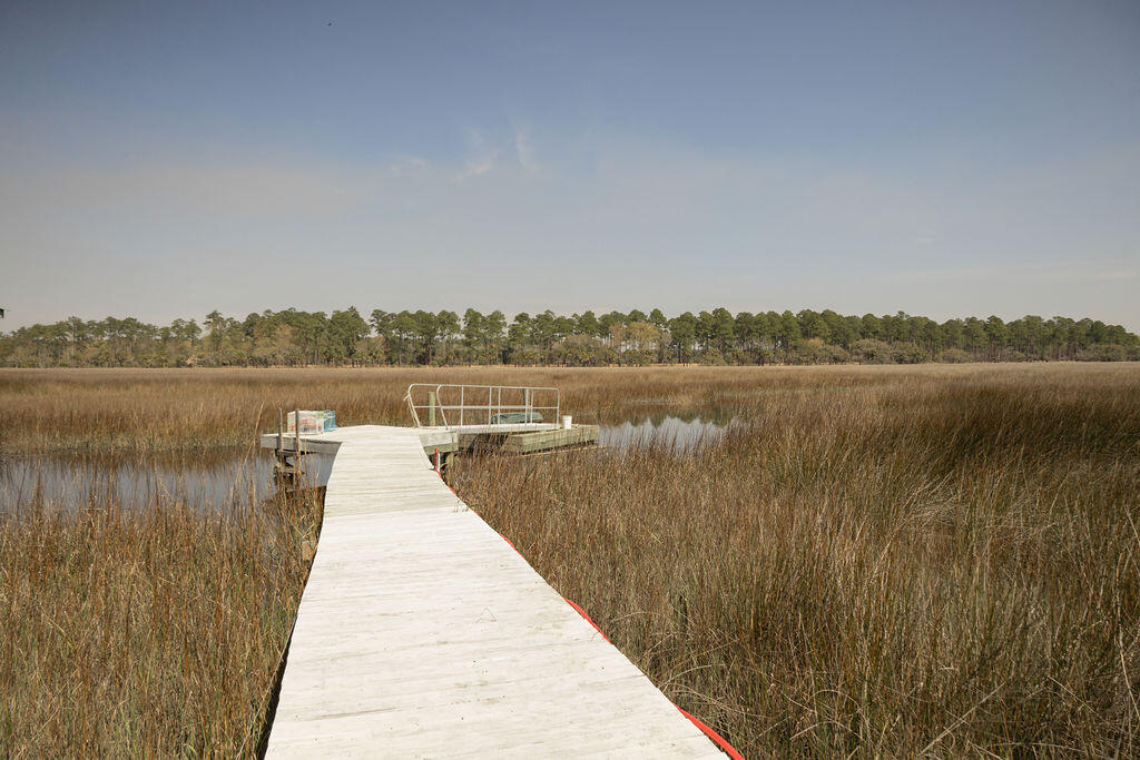 15419 Bennetts Point Road Green Pond, SC 29446 - Photo 49 of 52 3T6A1569