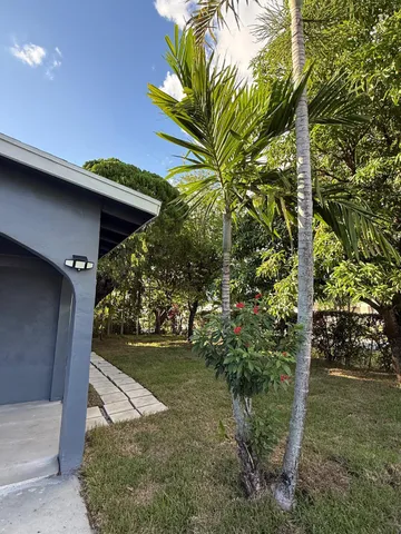 a view of a backyard