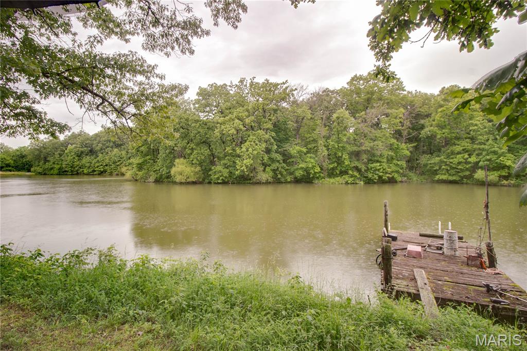 12678 Catholic Springs Road Bunker Hill, IL 62014 - Photo 37 of 43