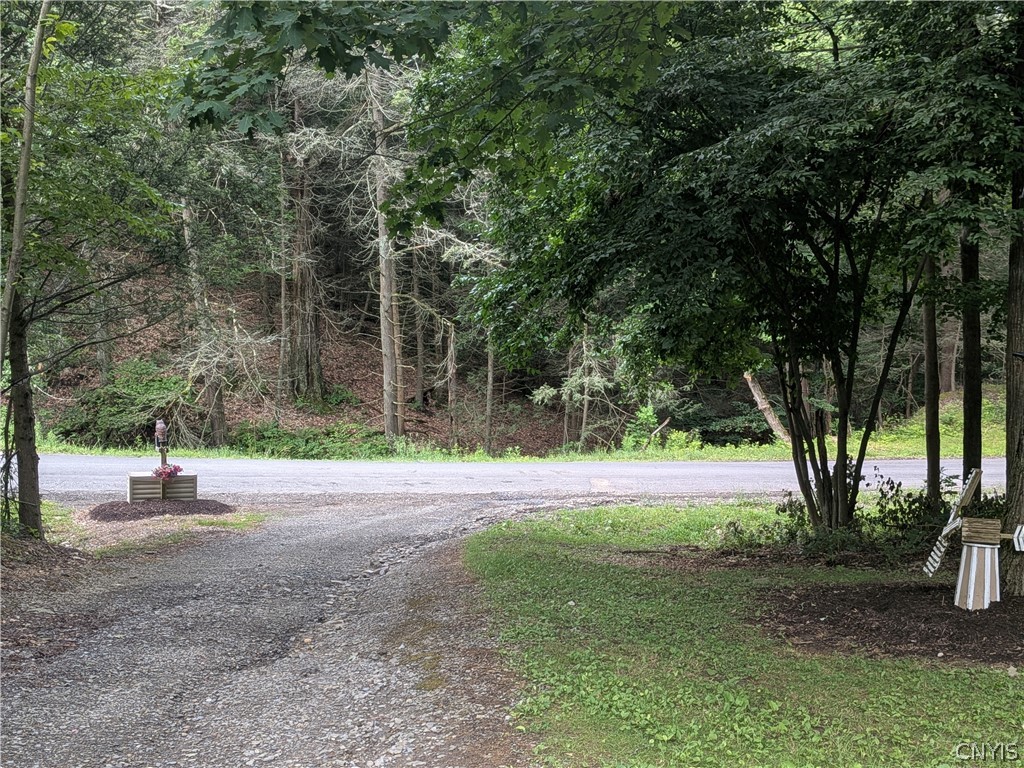 128 Seely Hill Road Newfield, NY 14867 - Photo 6 of 21 Gallery Image 6
