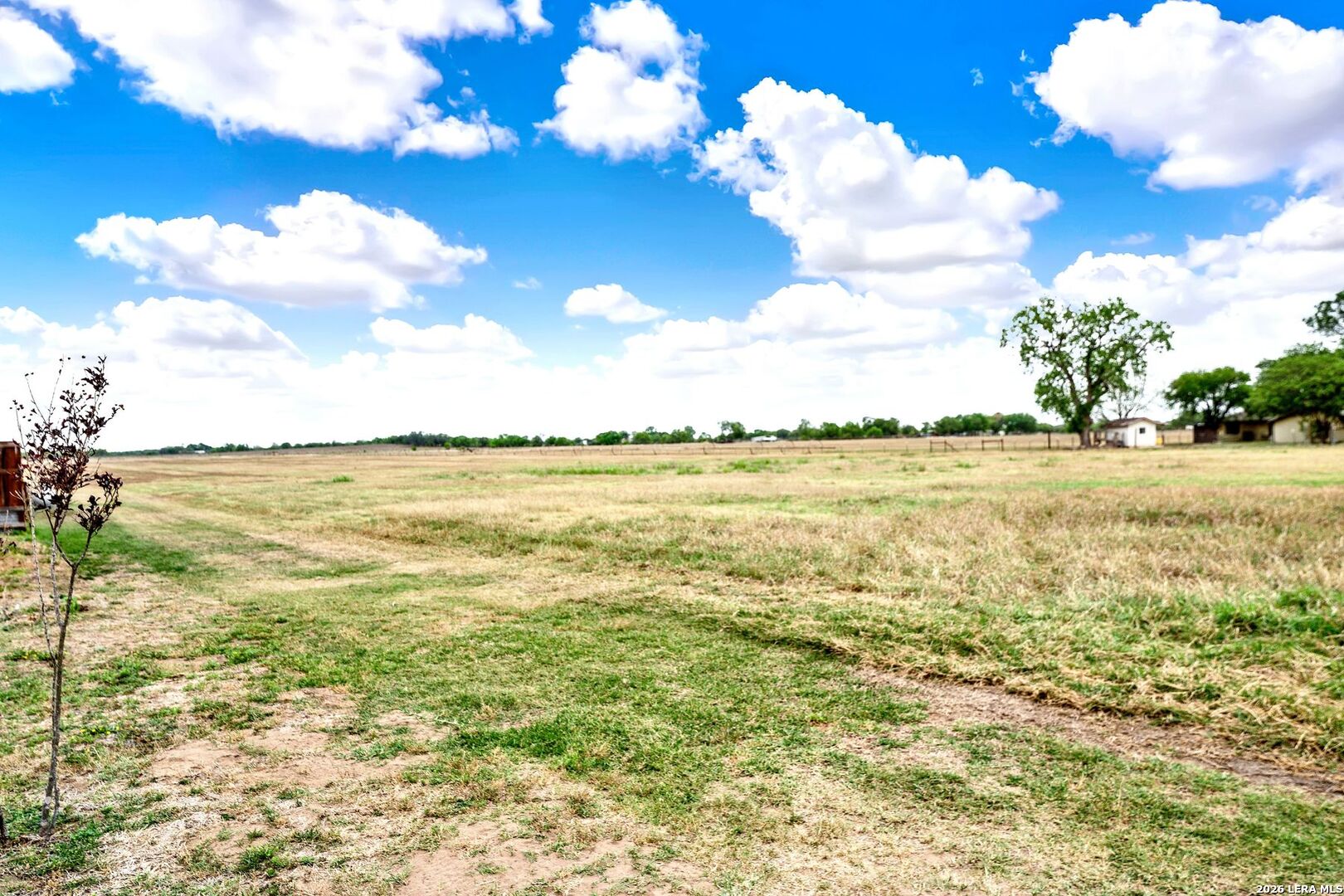 768 County Road 664 Devine, TX 78016 - Photo 53 of 53