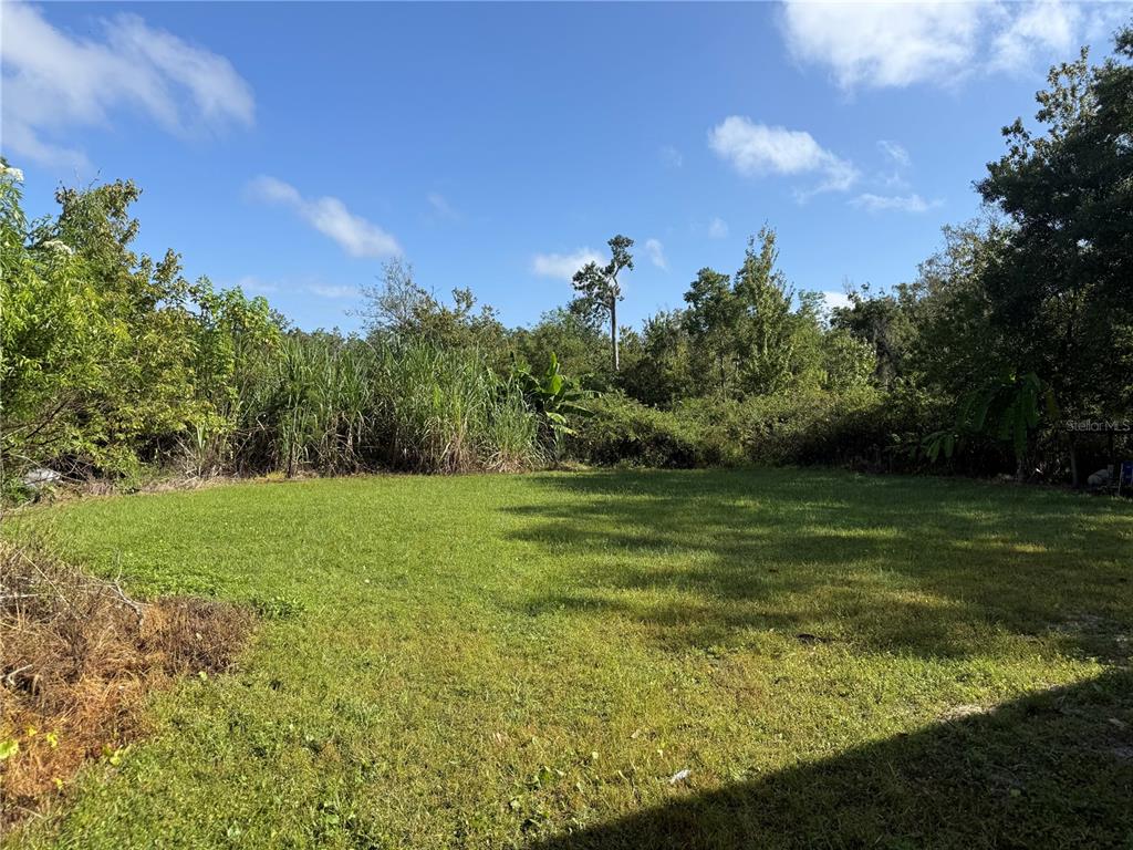 1561 Poe Road Lake Wales, FL 33898 - Photo 11 of 15 a view of a field with an trees