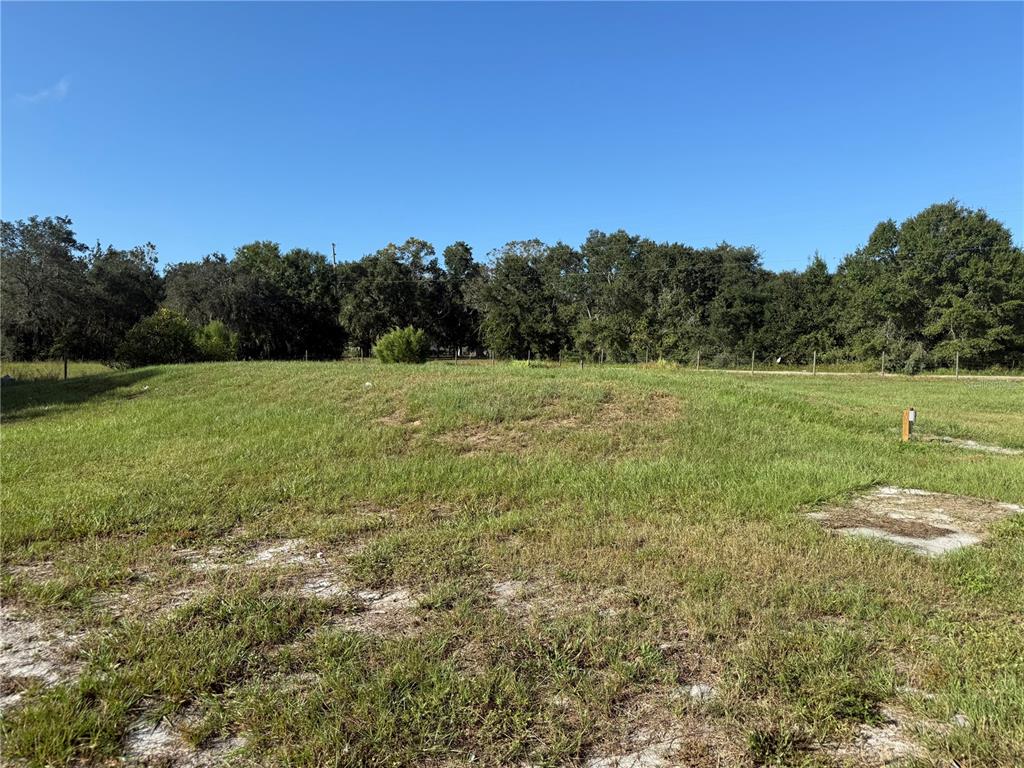 1561 Poe Road Lake Wales, FL 33898 - Photo 10 of 15 a view of outdoor space and yard