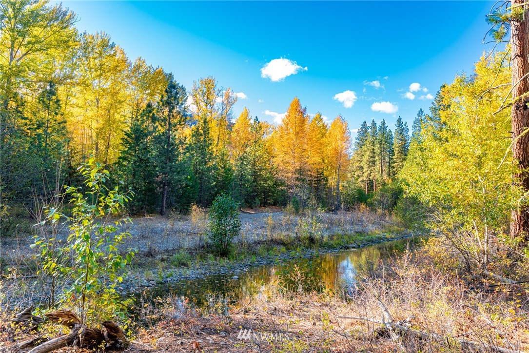 20 Dripping Springs Road Winthrop, WA 98862 - Photo 40 of 40 Gallery Image 40