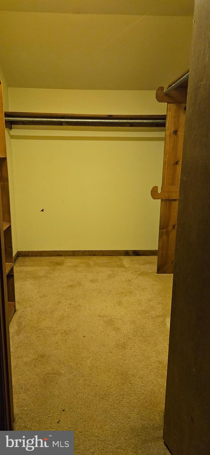 17420 West Hudson Pond Road Lincoln, DE 19960 - Photo 11 of 13 Large Walk-in closet in bedroom