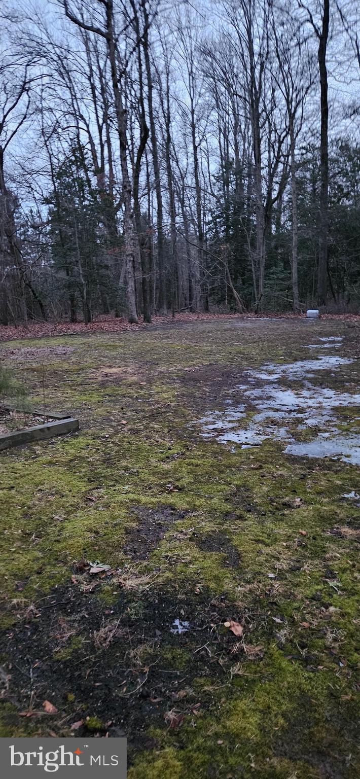 17420 West Hudson Pond Road Lincoln, DE 19960 - Photo 12 of 13 parking area