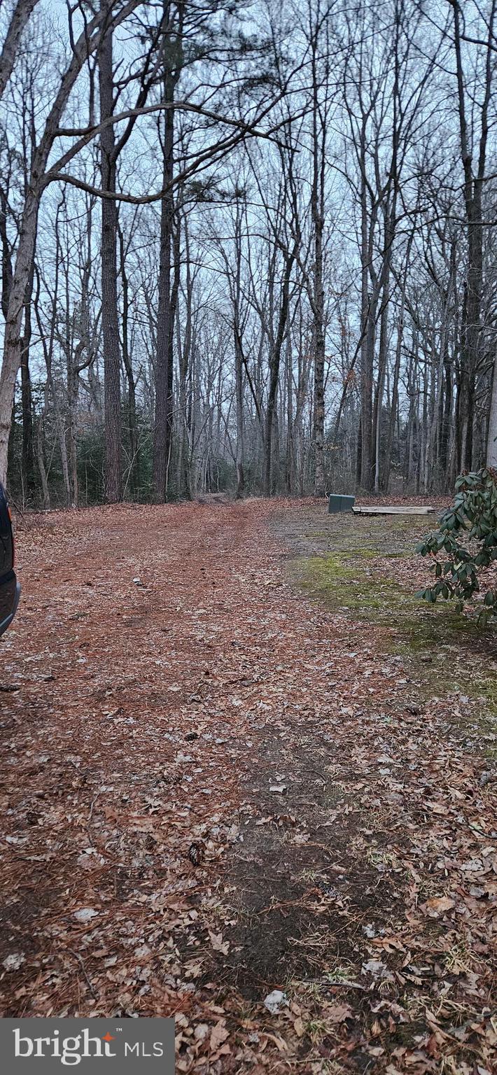 17420 West Hudson Pond Road Lincoln, DE 19960 - Photo 9 of 13 Driveway facing north