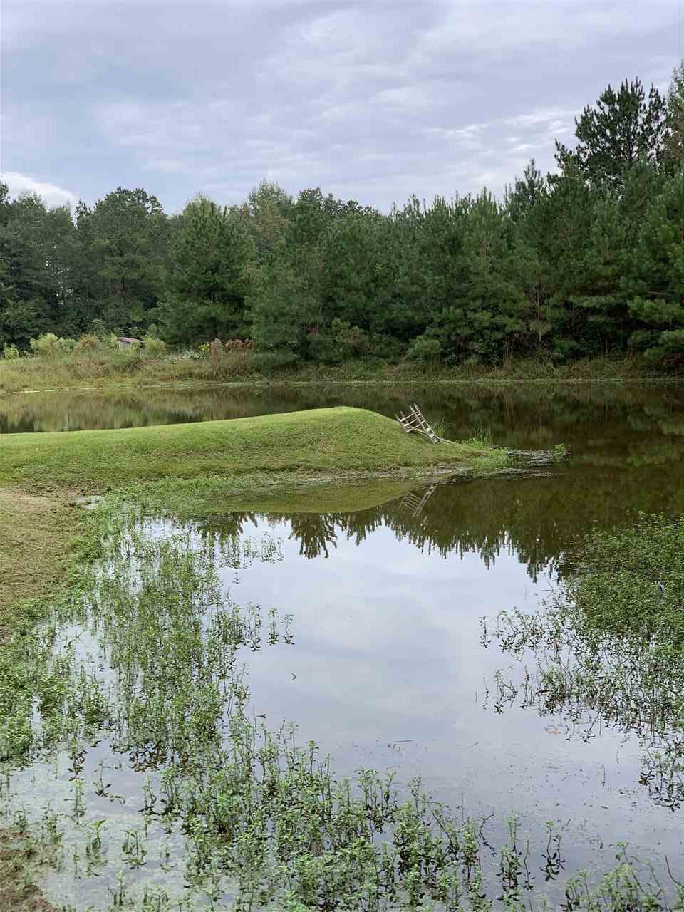 1566 Scr 128 Raleigh, MS 39153 - Photo 1 of 7 Photo 1