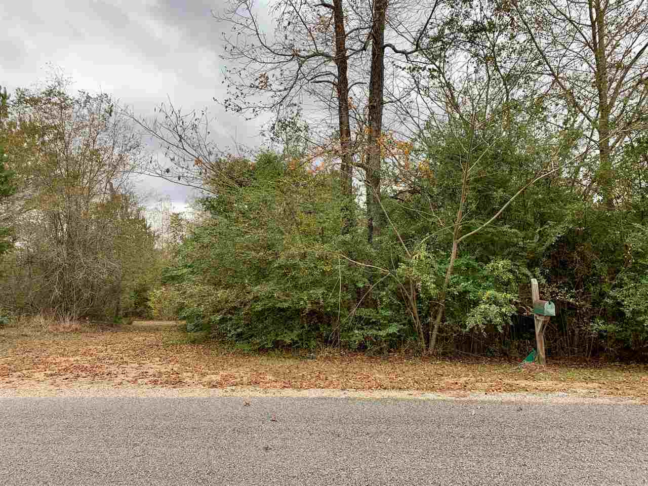 1566 Scr 128 Raleigh, MS 39153 - Photo 5 of 7 Photo 5