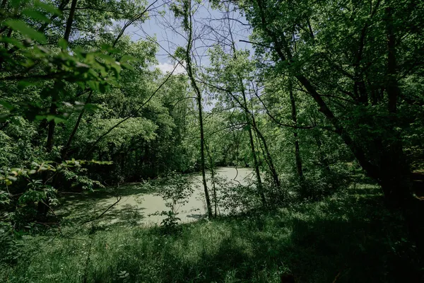 0 Hwy 50 Winchester Tn 37398, Winchester, TN 37398