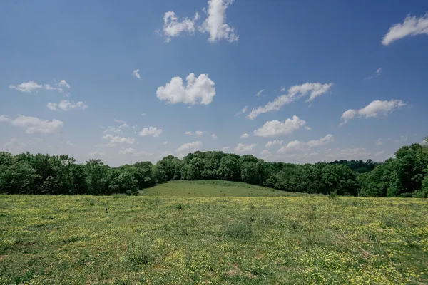 0 Hwy 50 Winchester Tn 37398, Winchester, TN 37398