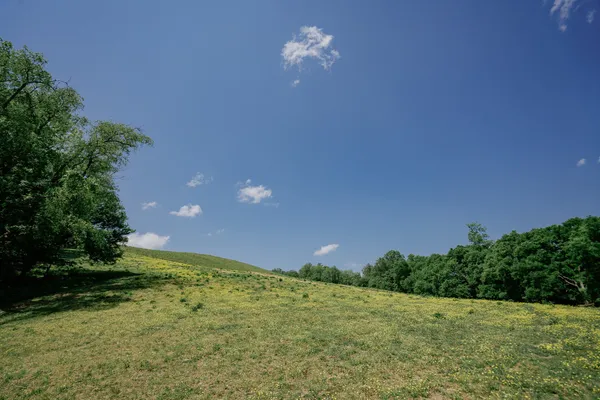 0 Hwy 50 Winchester Tn 37398, Winchester, TN 37398