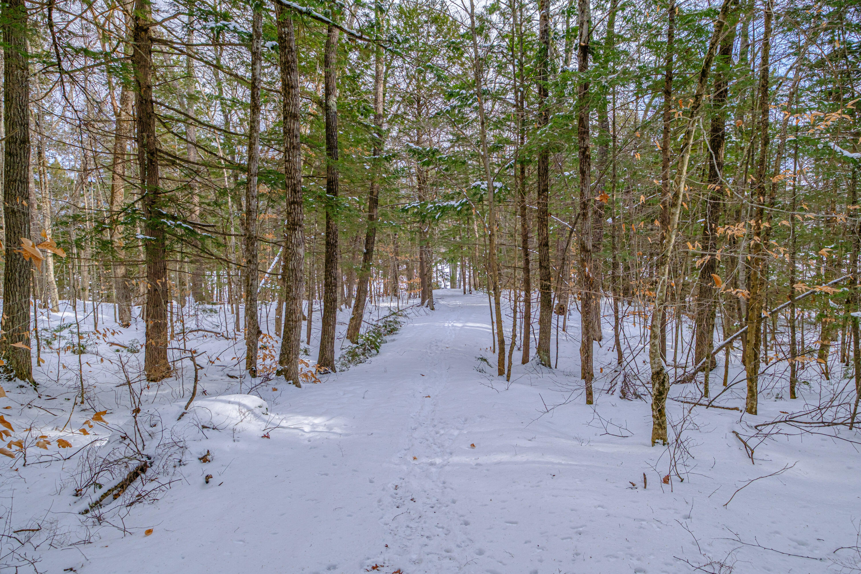 5 Whippoorwill Drive Naples, ME 04055 - Photo 80 of 101 20260123gp-60112