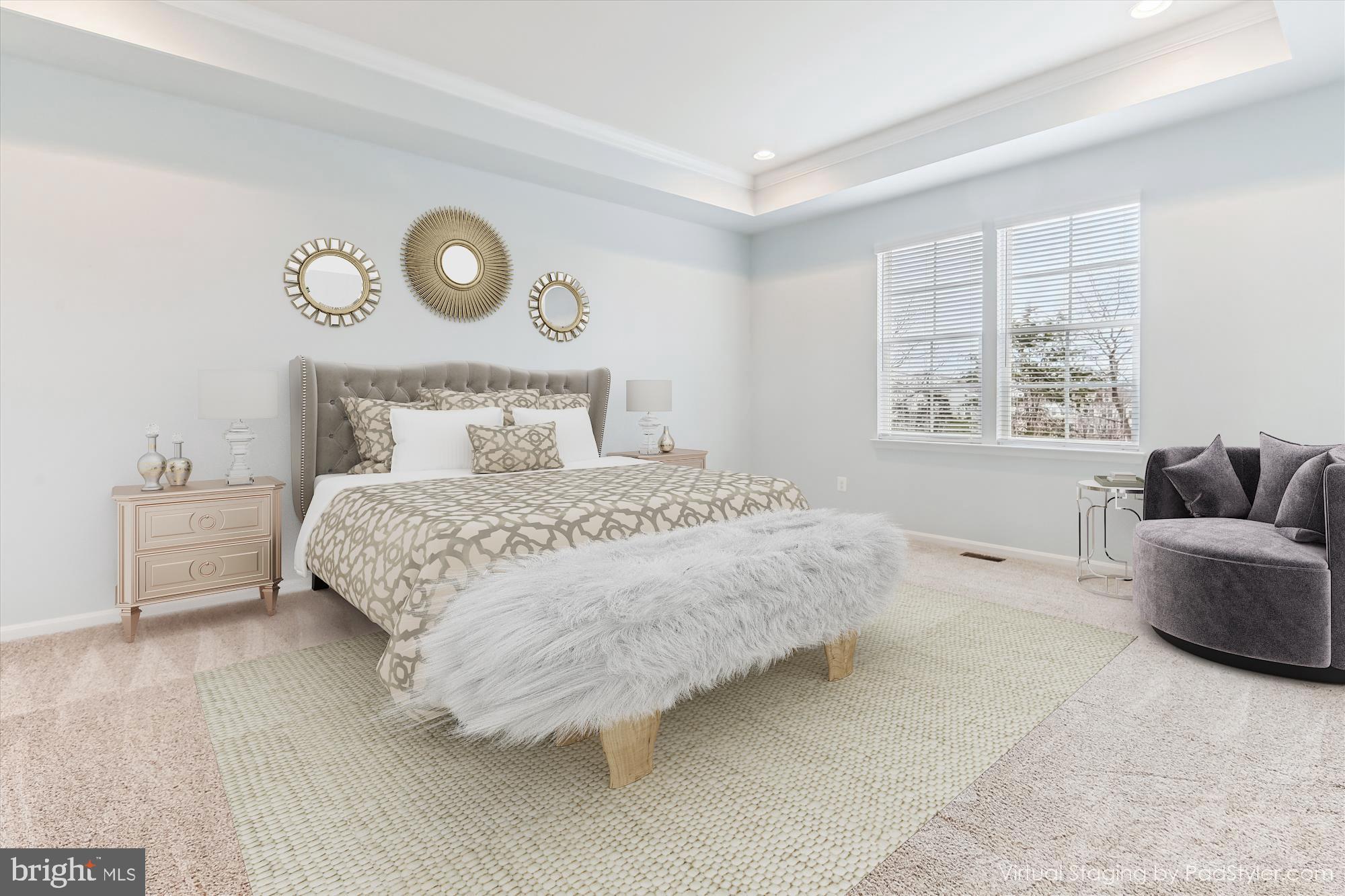 23550 Epperson Square Brambleton, VA 20148 - Photo 15 of 35 Huge primary with tray ceiling