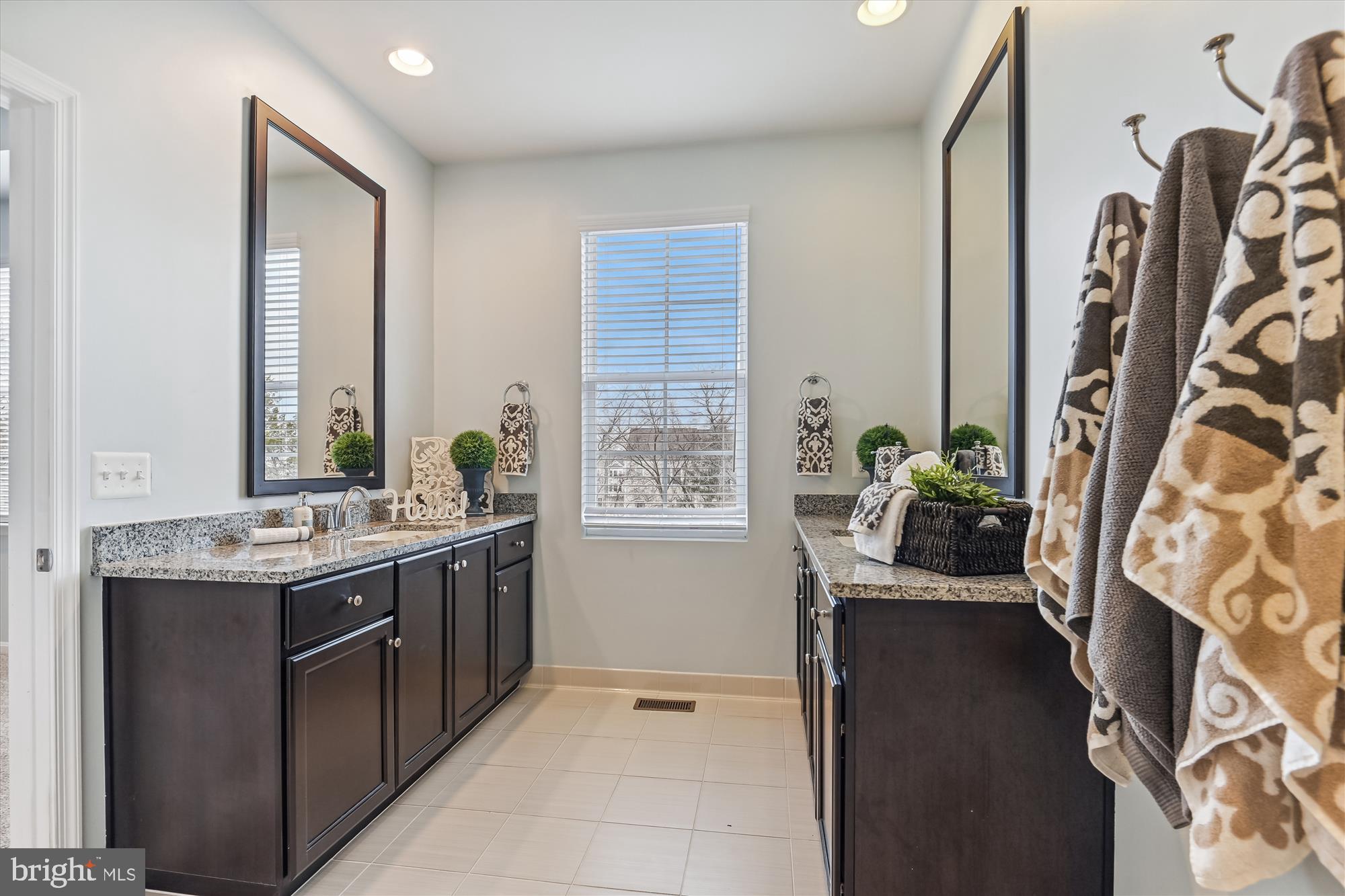 23550 Epperson Square Brambleton, VA 20148 - Photo 17 of 35 Primary bath