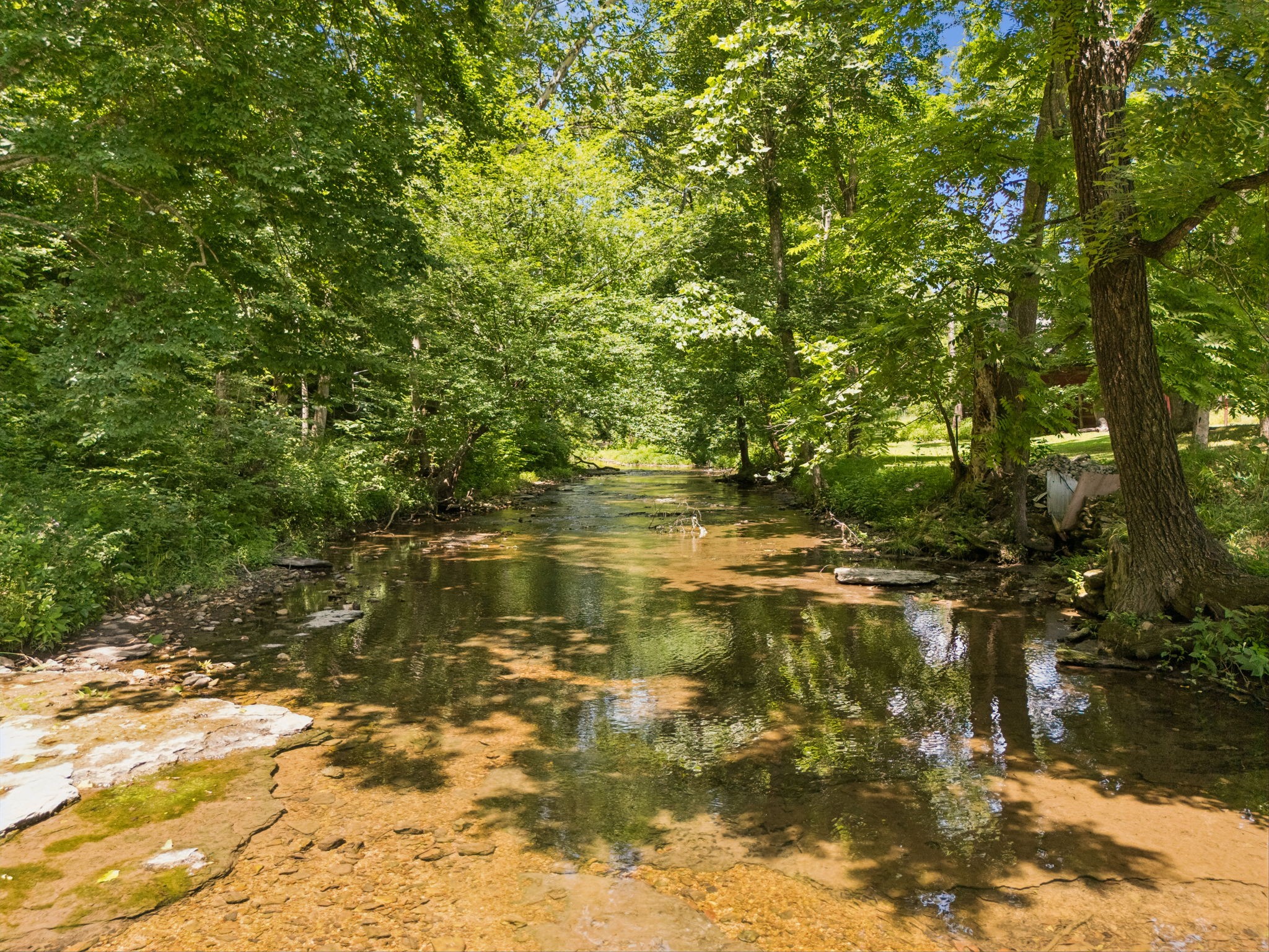 8188 Shoals Branch Road Primm Springs, TN 38476 - Photo 57 of 67 Gallery Image 57