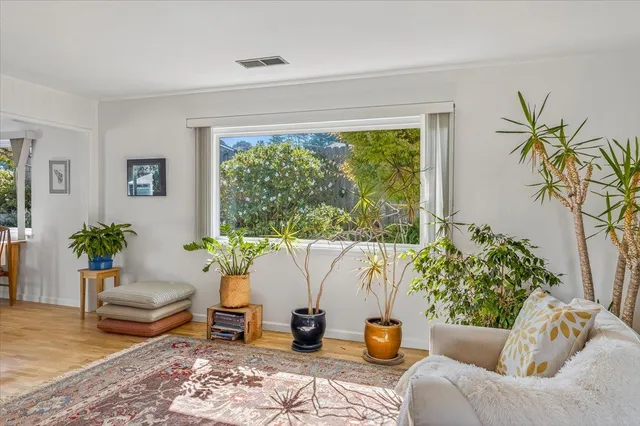 a potted plant sitting in front of a window