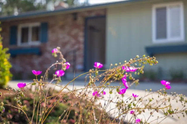 a living room with furniture fireplace and a large window
