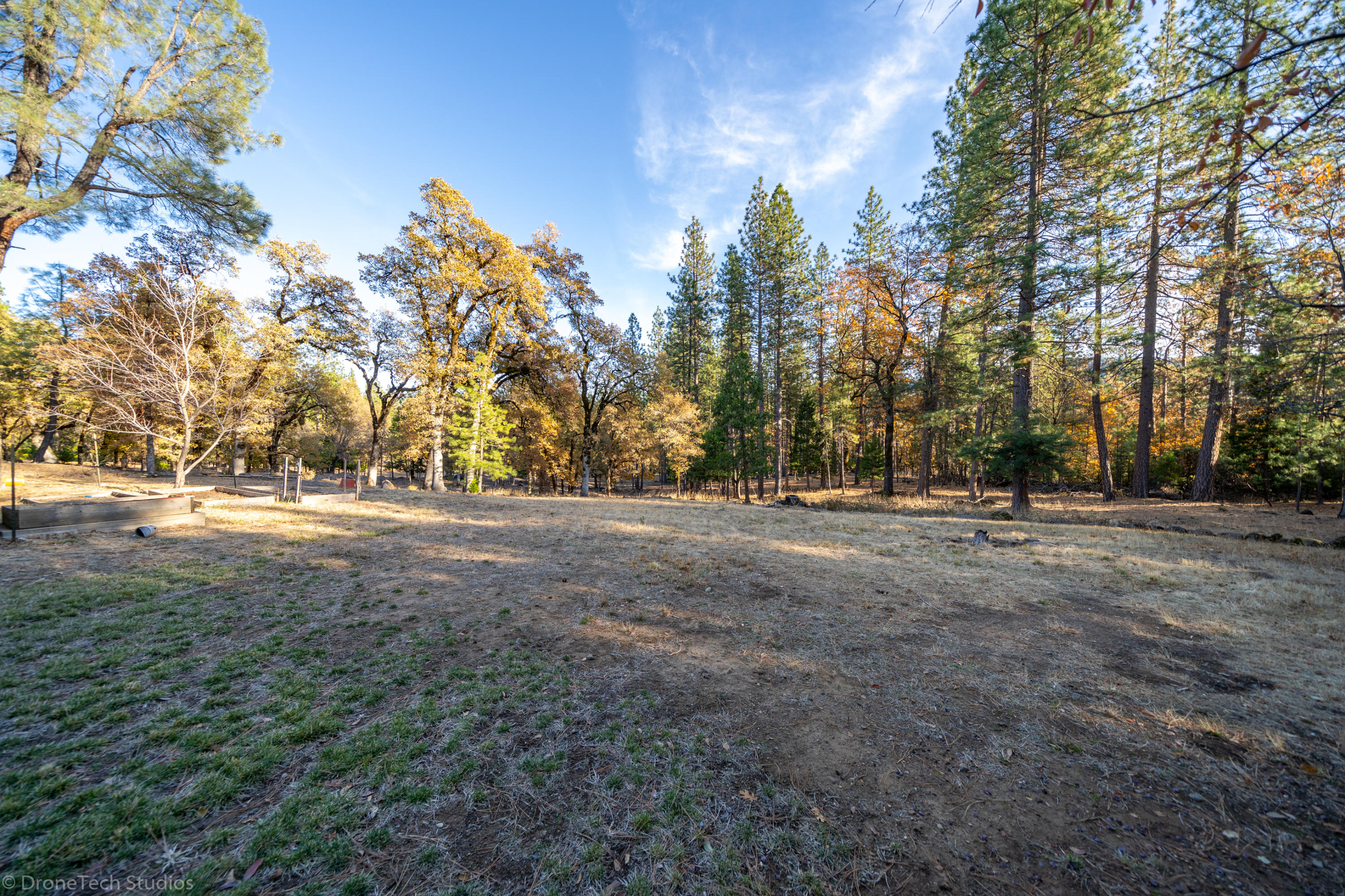 17178 Phillips Road Oak Run, CA 96069 - Photo 7 of 65 17178 Phillips Rd-38