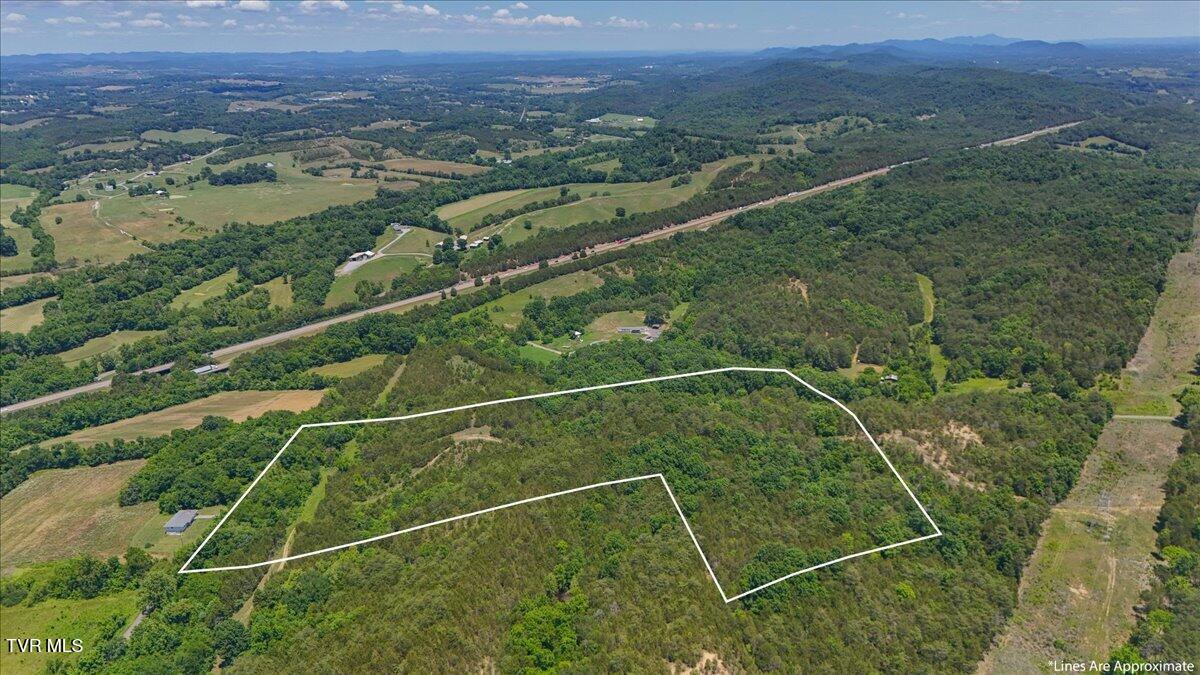 5441 Fred Marshall Road Russellville, TN 37860 - Photo 5 of 20 06-DJI_20260604134006_0928_D