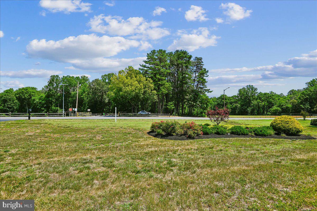 603 Queenstown Road Severn, MD 21144 - Photo 76 of 85 Scenic green space with trees and sky.