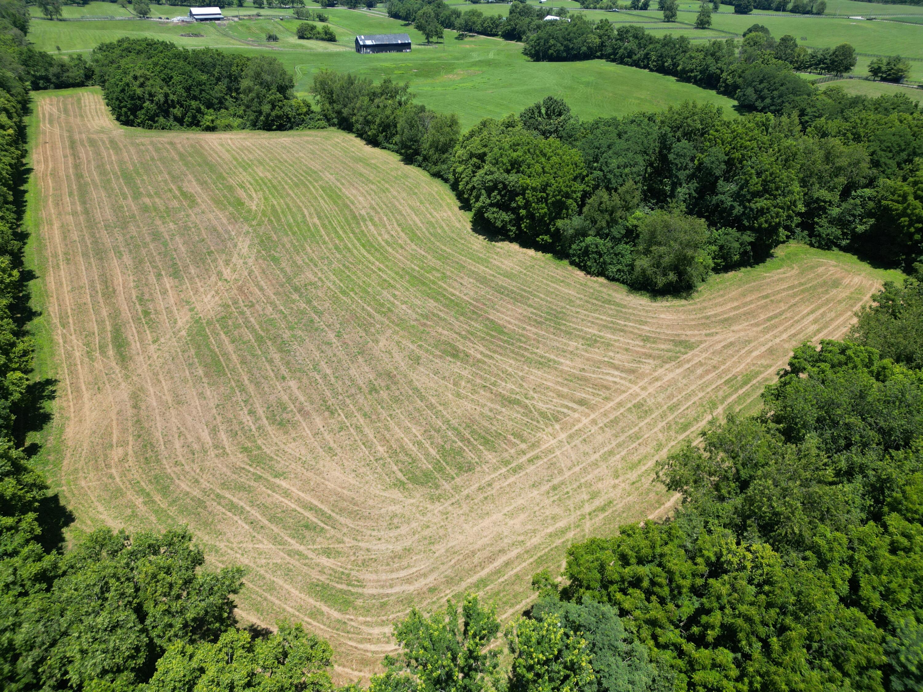 1949 Huntertown Road Versailles, KY 40383 - Photo 23 of 32 DJI_0425
