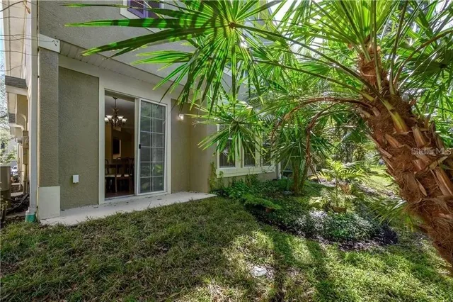 a view of a back yard