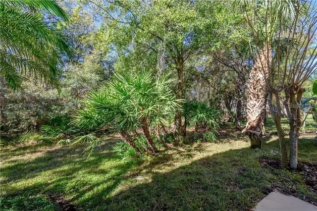 a view of a yard with large trees