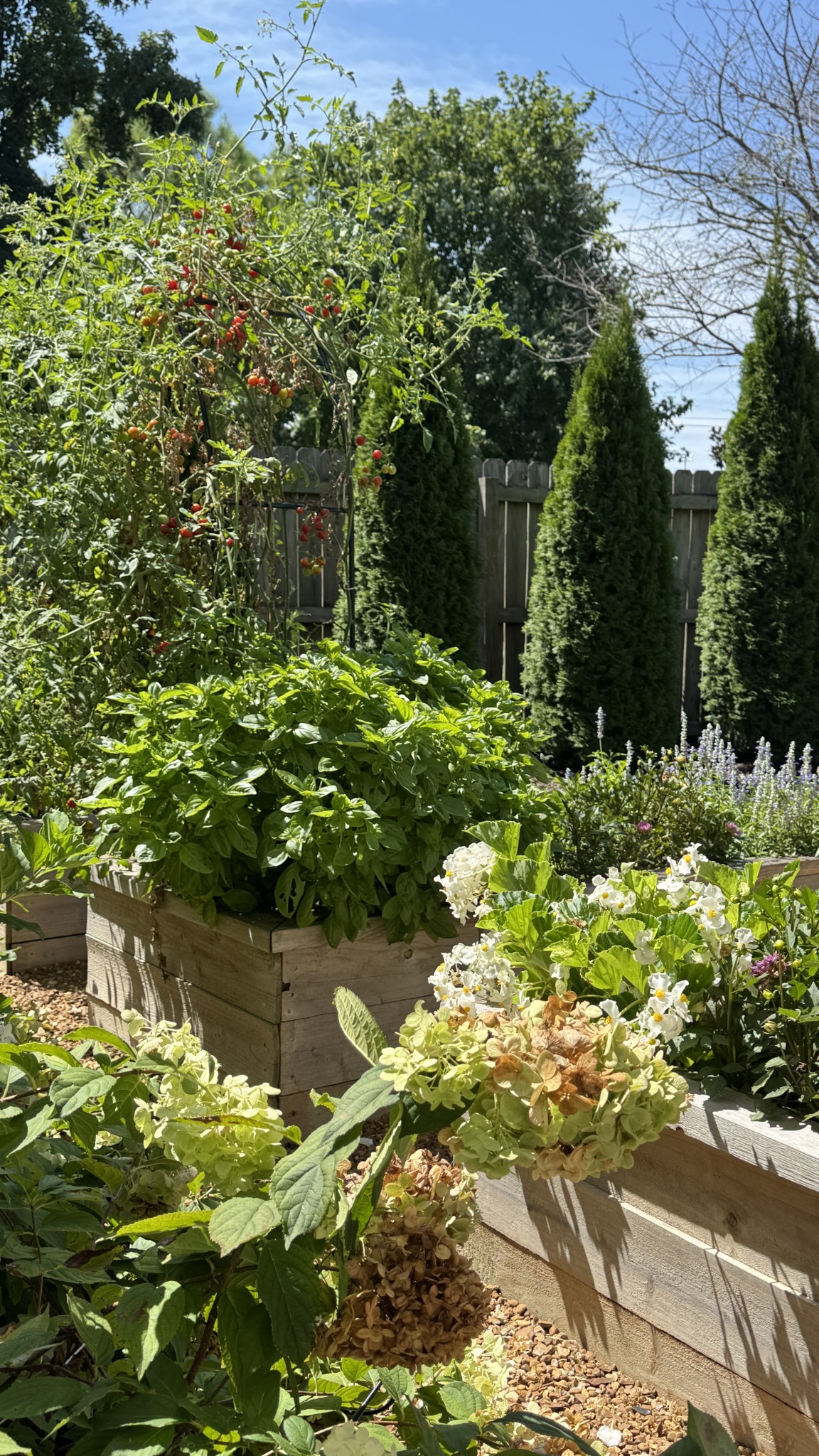 3205 Vera Valley Road Franklin, TN 37064 - Photo 37 of 51