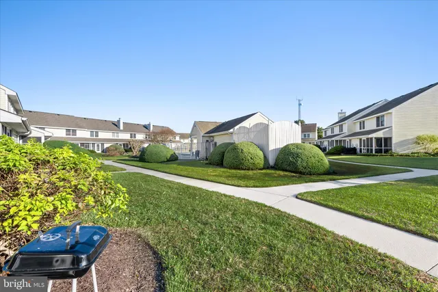 a view of a back yard