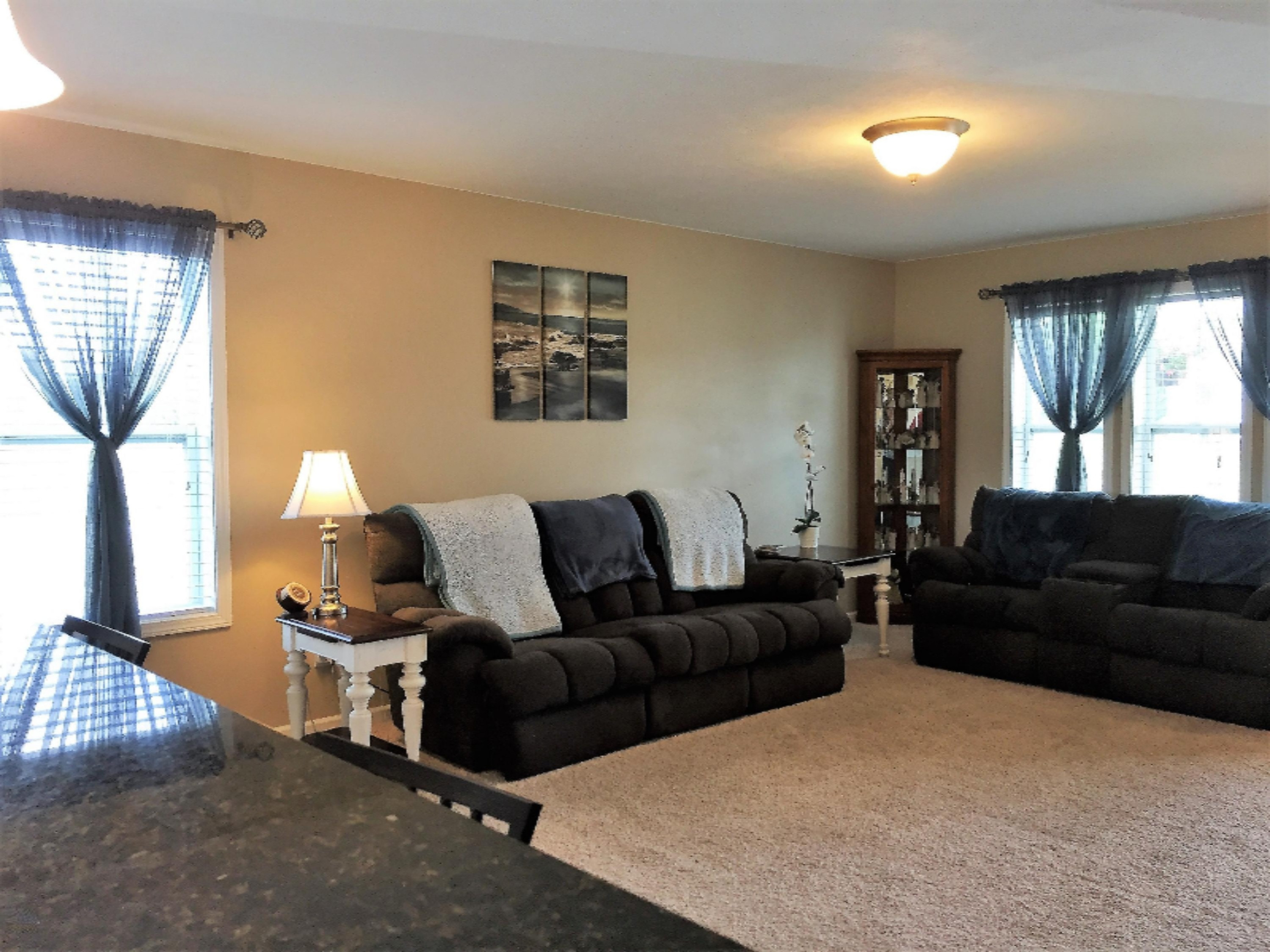8730 Meadowrue Road Portland, MI 48875 - Photo 13 of 48 Living Room