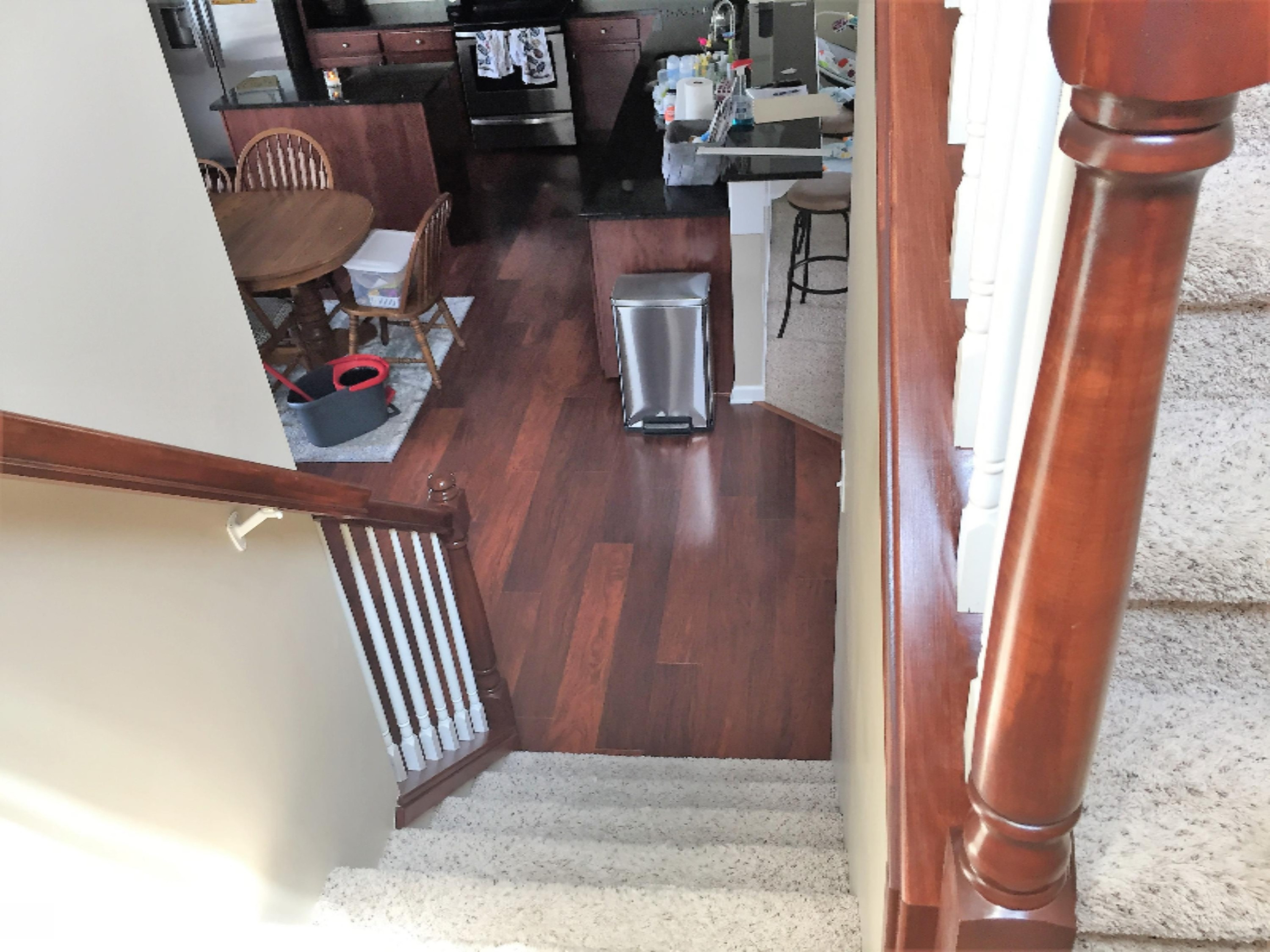 8730 Meadowrue Road Portland, MI 48875 - Photo 16 of 48 Stair