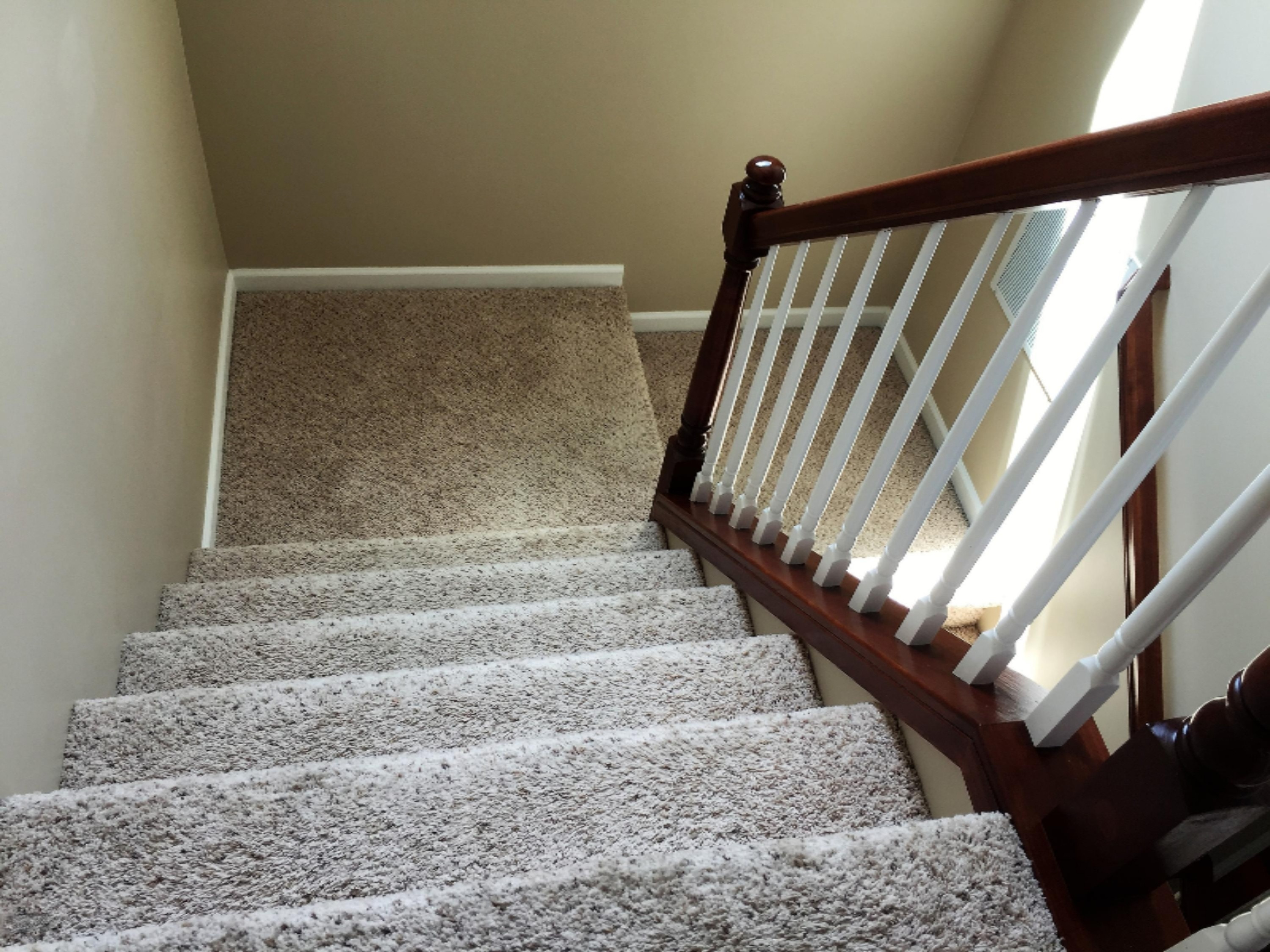 8730 Meadowrue Road Portland, MI 48875 - Photo 17 of 48 Stair