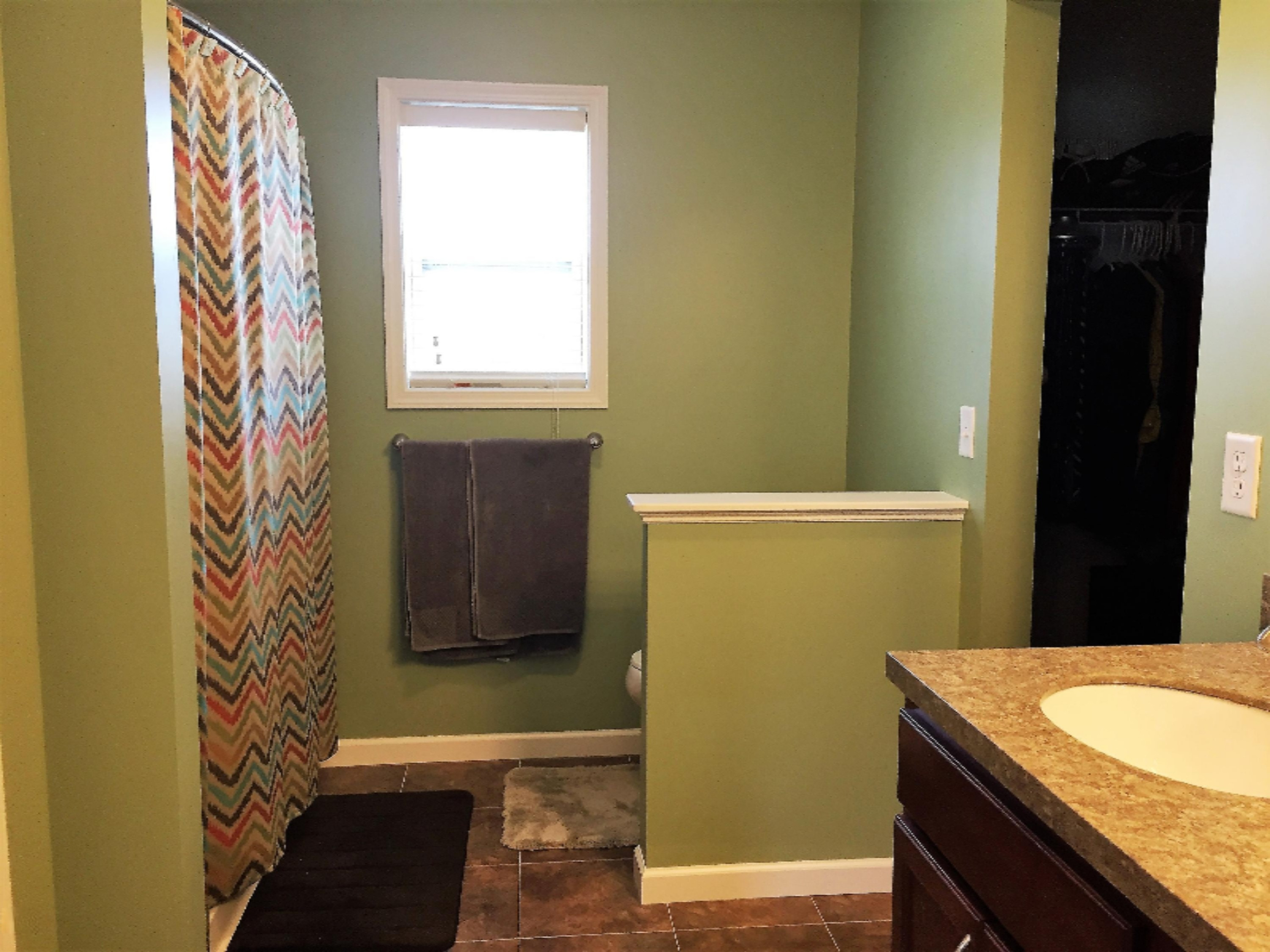 8730 Meadowrue Road Portland, MI 48875 - Photo 20 of 48 Master Bath