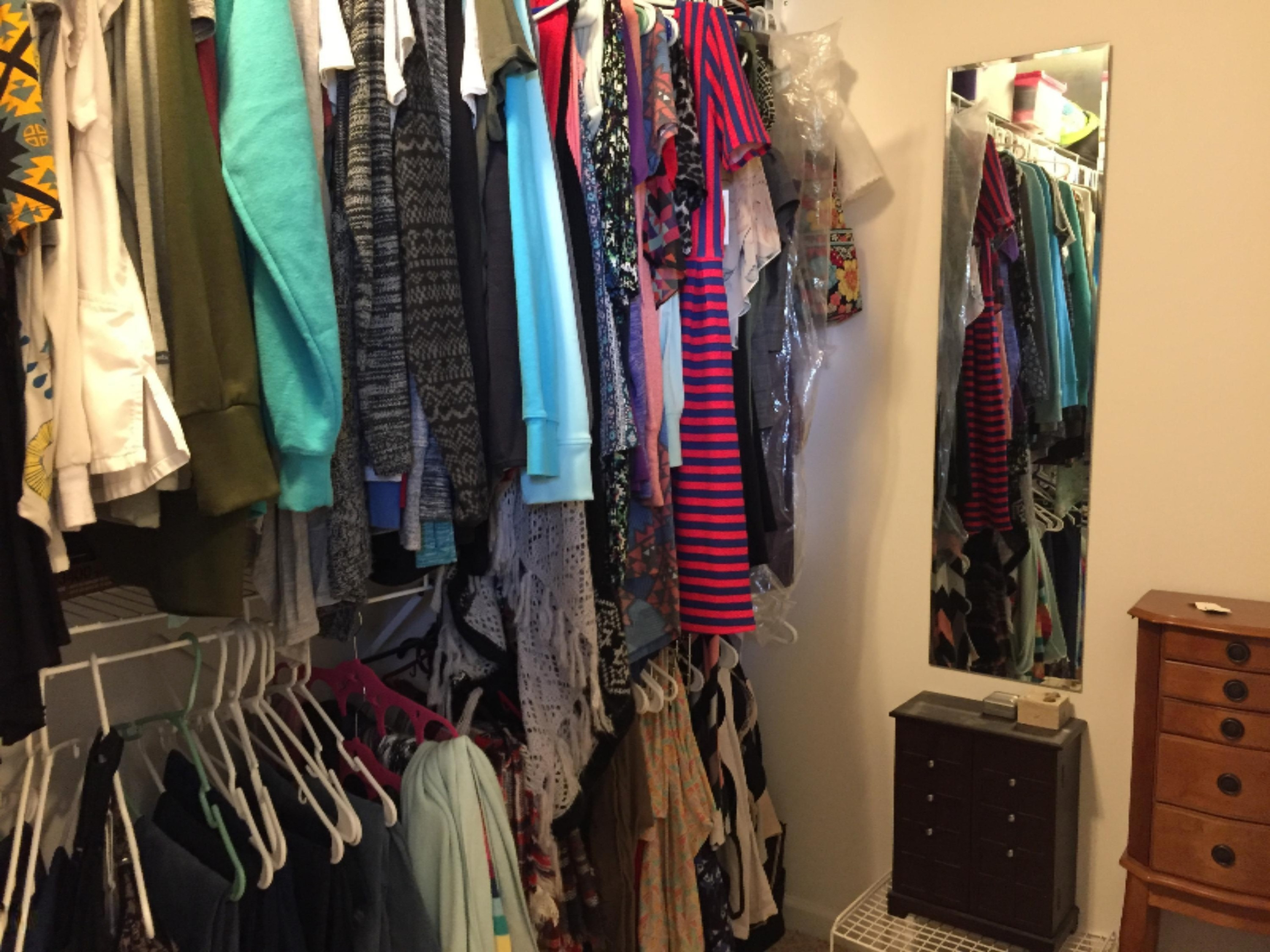 8730 Meadowrue Road Portland, MI 48875 - Photo 22 of 48 Master Closet