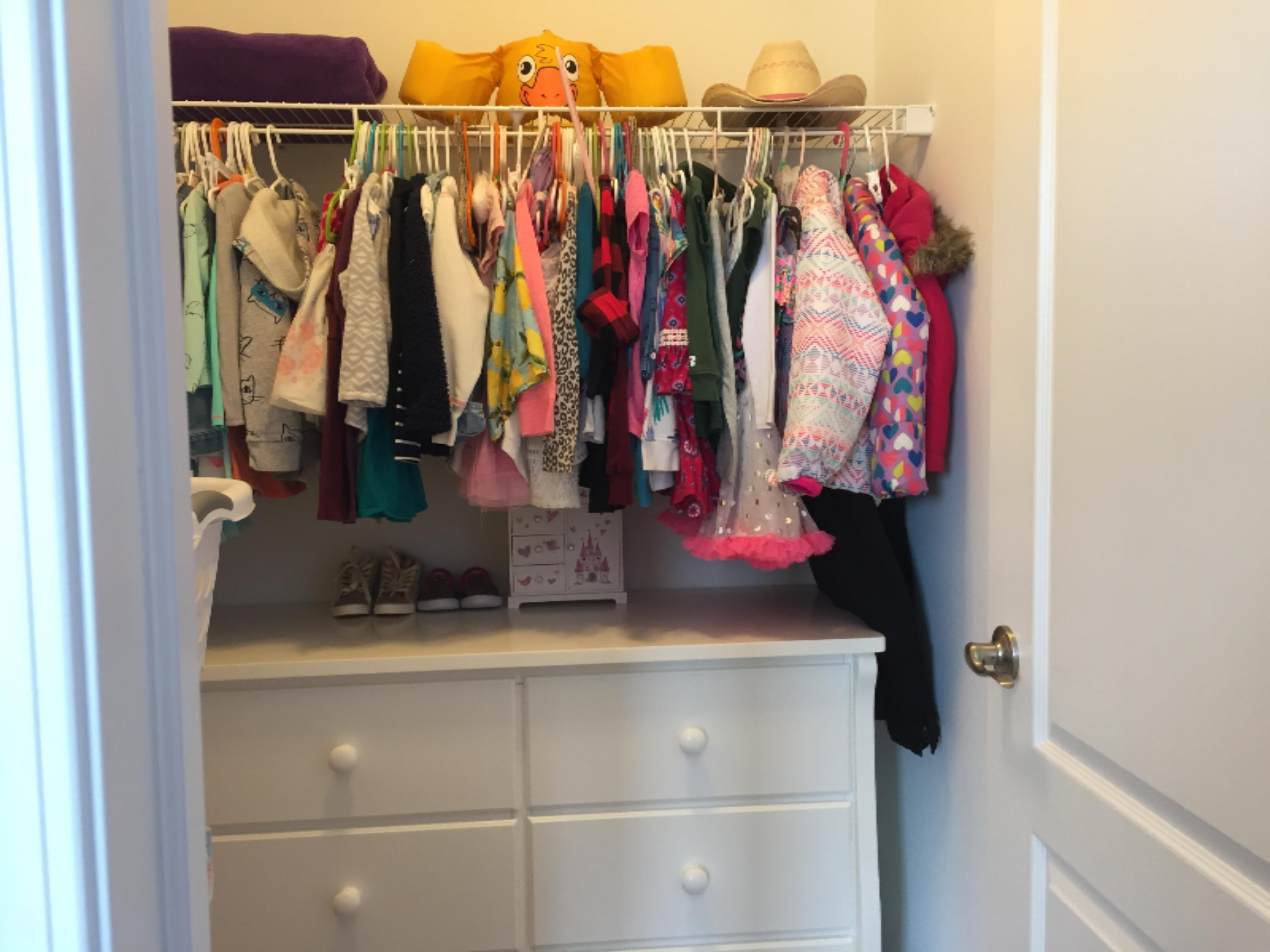 8730 Meadowrue Road Portland, MI 48875 - Photo 29 of 48 Bed2 closet
