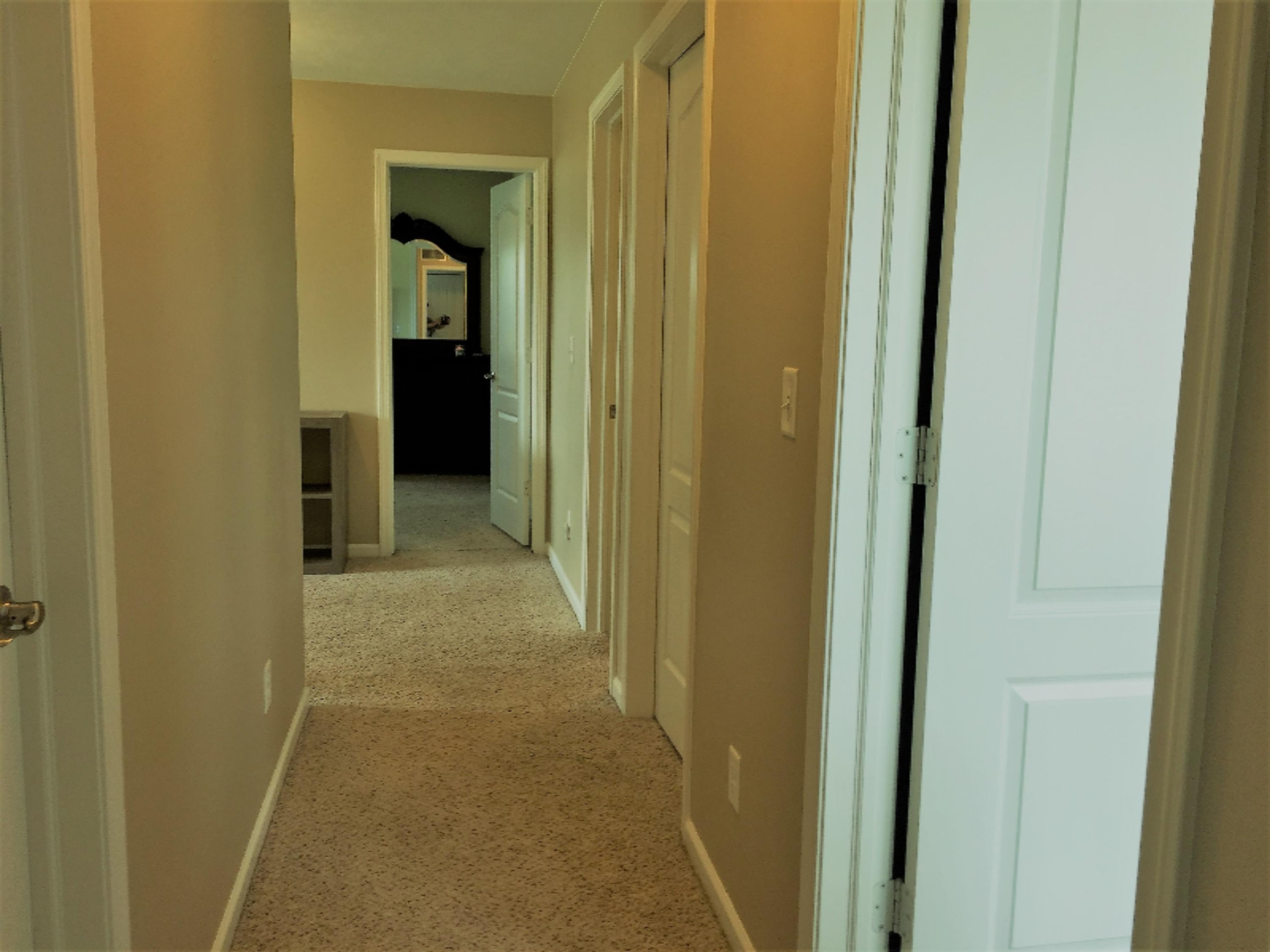 8730 Meadowrue Road Portland, MI 48875 - Photo 35 of 48 Hall