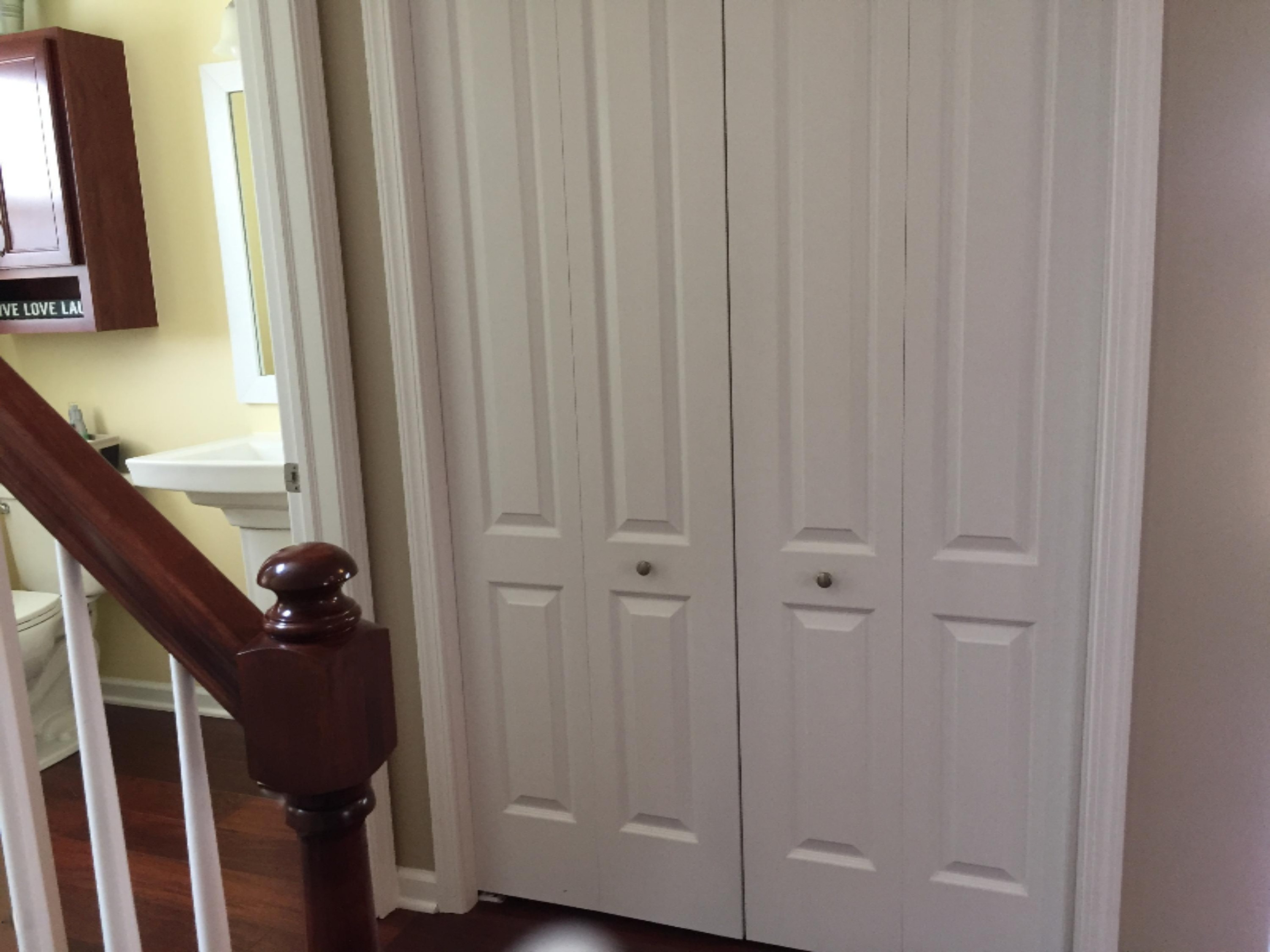 8730 Meadowrue Road Portland, MI 48875 - Photo 9 of 48 Pantry/closet