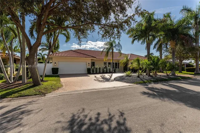 a view of street with palm trees