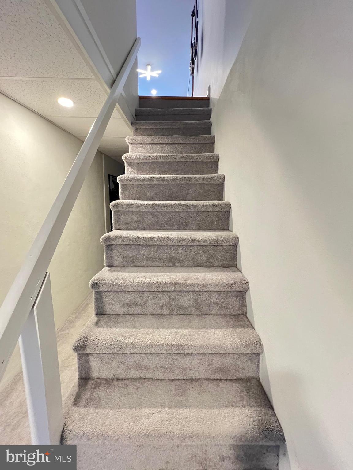 4735 Sheldon Street Philadelphia, PA 19127 - Photo 16 of 49 Basement stairs - fresh carpet
