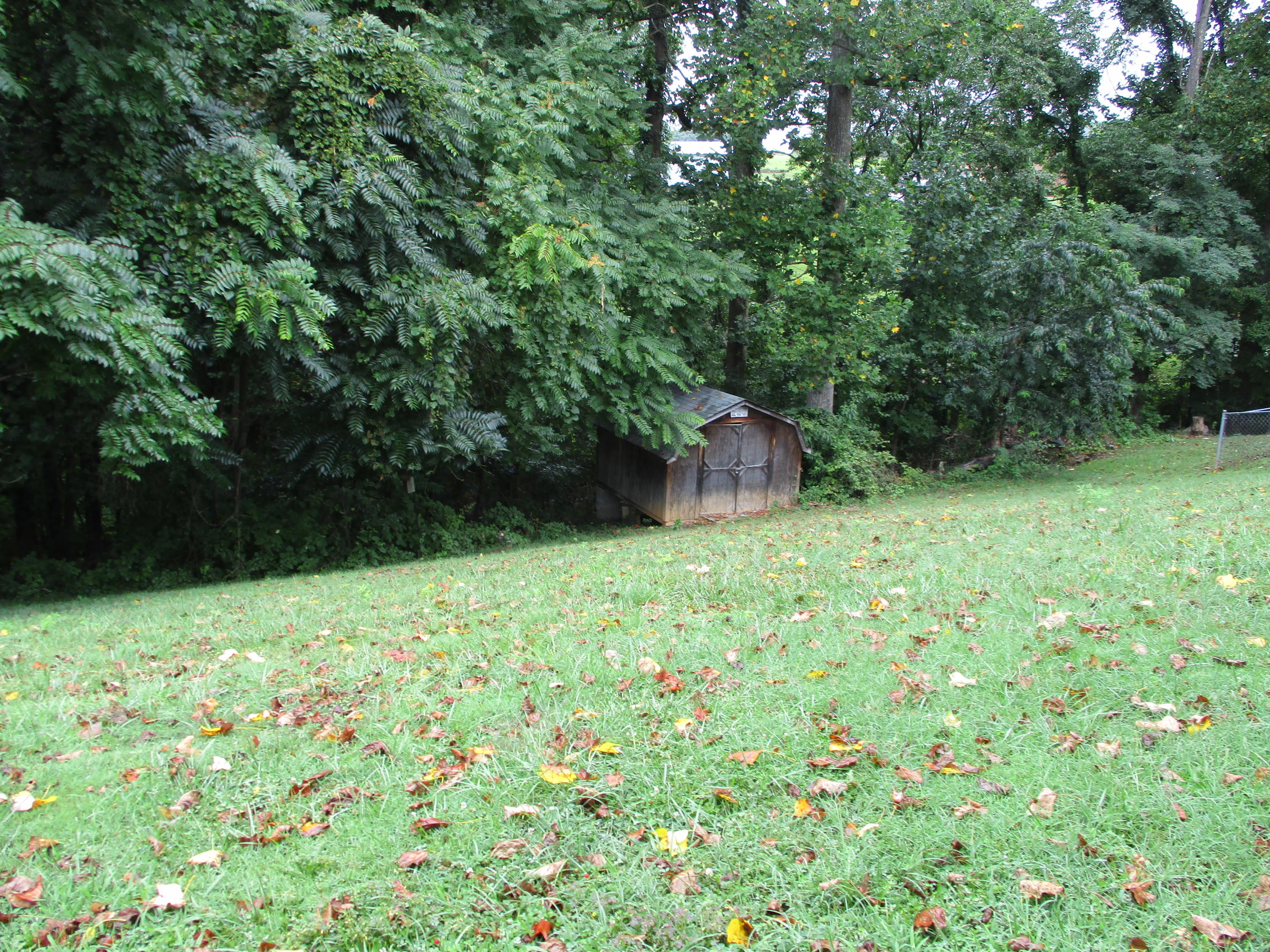 118 Old Brook Road Vinton, VA 24179 - Photo 15 of 15 Back yard, storage shed