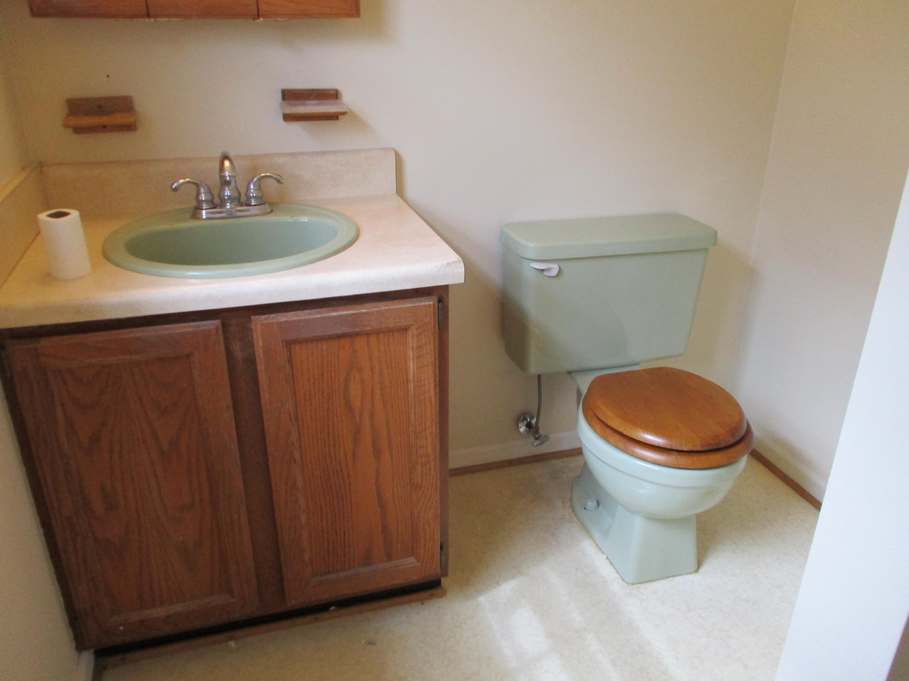 118 Old Brook Road Vinton, VA 24179 - Photo 10 of 15 Master bath with shower