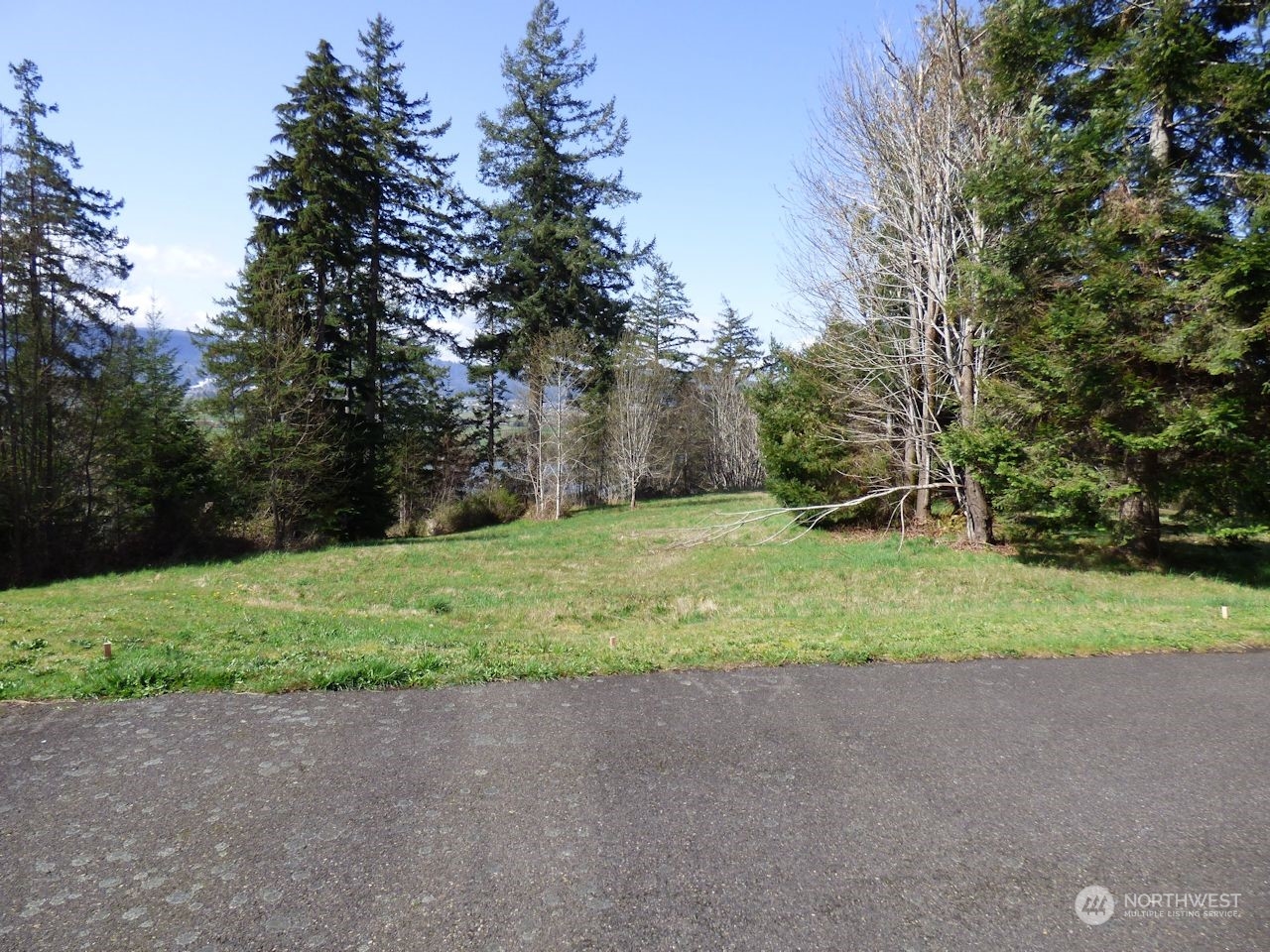 0 Riverside East (6439) Road, Unit 6439 Cathlamet, WA 98612 - Photo 3 of 10 Gallery Image 3