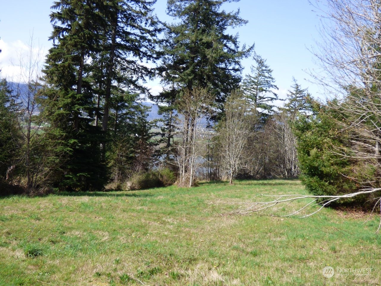 0 Riverside East (6439) Road, Unit 6439 Cathlamet, WA 98612 - Photo 4 of 10 Gallery Image 4