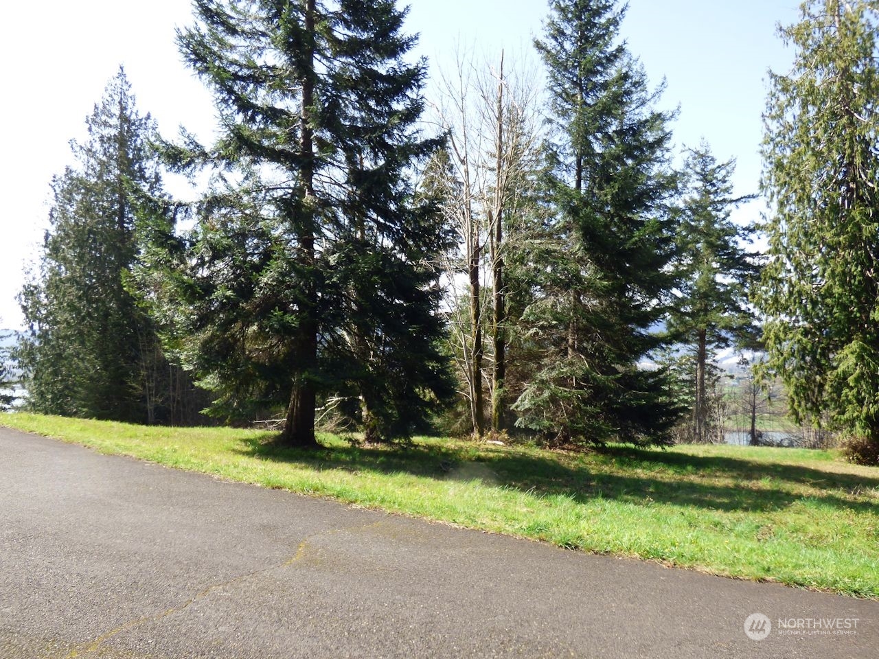 0 Riverside East (6439) Road, Unit 6439 Cathlamet, WA 98612 - Photo 5 of 10 Gallery Image 5