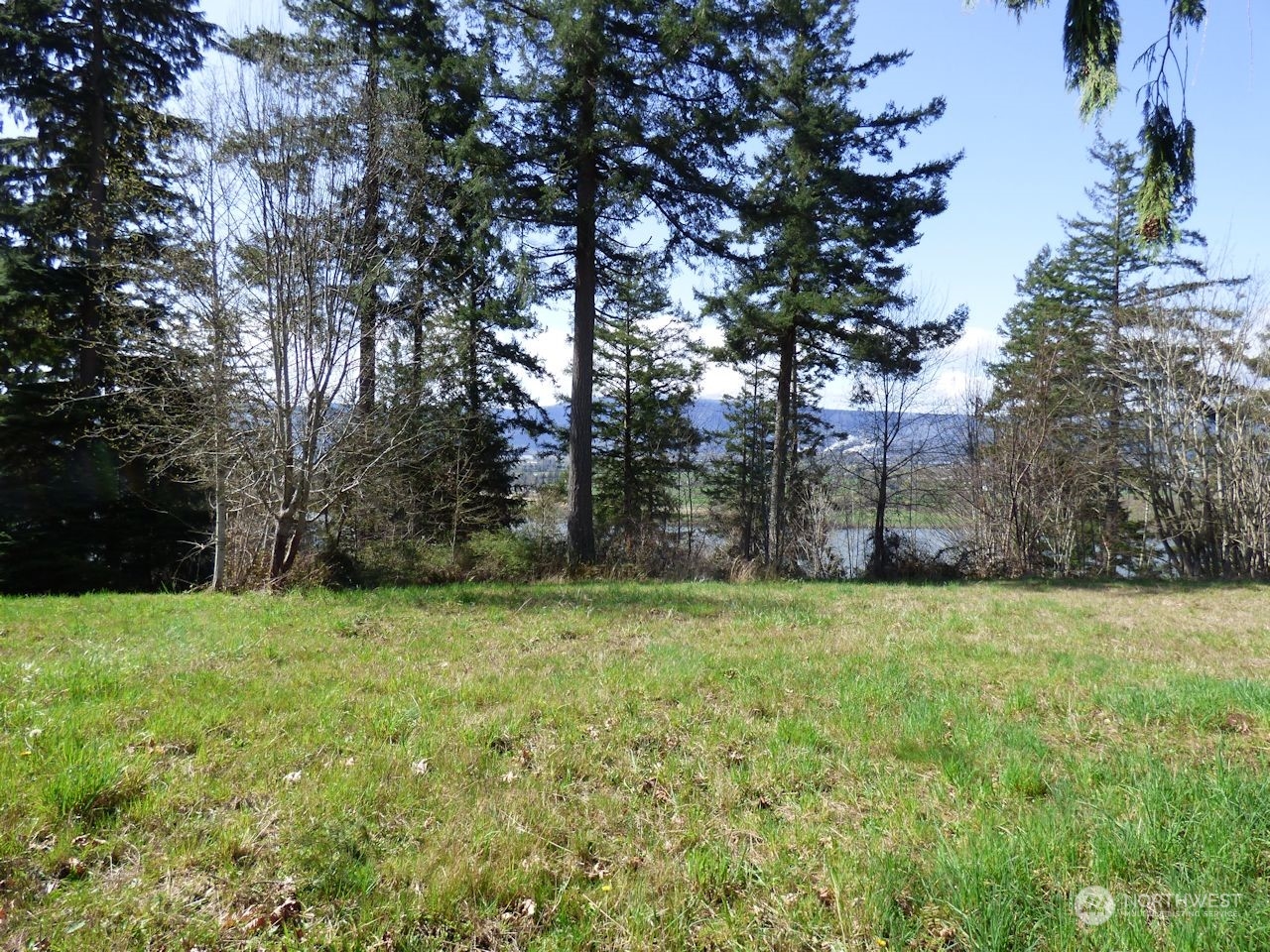 0 Riverside East (6439) Road, Unit 6439 Cathlamet, WA 98612 - Photo 6 of 10 Gallery Image 6